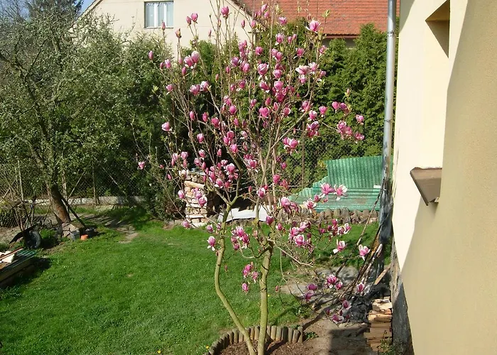 Apartma U Hovorku Appartement Županovice